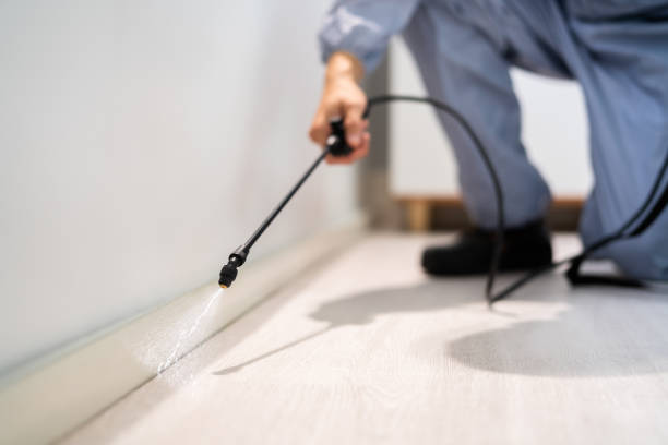 Professional exterminator conducting IPM assessment in Aurora